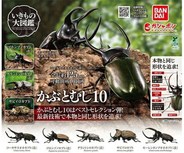 HY2092 Capsule toy The Great Encyclopedia of Animals 10 Beetles complete set