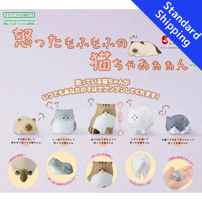 HY1935 Capsule toy The angry fluffy kittyyyy complete set