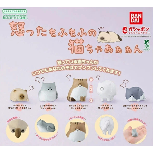 HY1935 Capsule toy The angry fluffy kittyyyy complete set