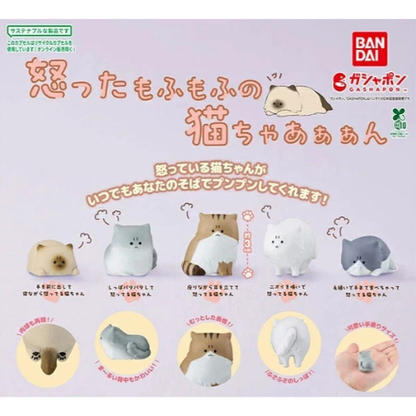HY1935 Capsule toy The angry fluffy kittyyyy complete set