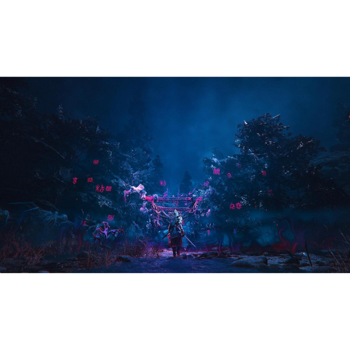 Kunitugami Path of the Goddess Nintendo switch 2 Game Japan