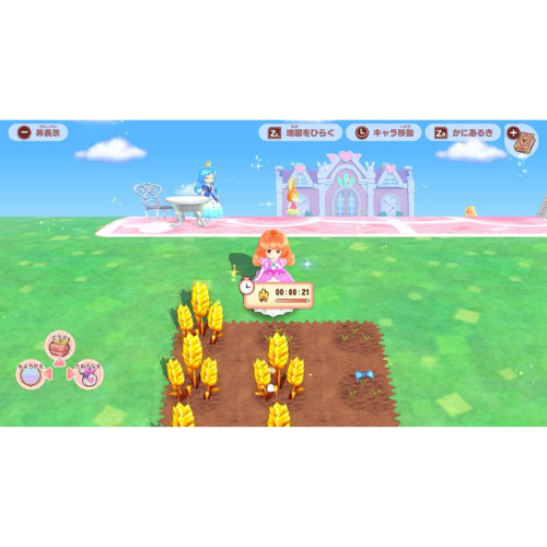 Pretty Princess Magical Garden Island Nintendo switch Game Japan