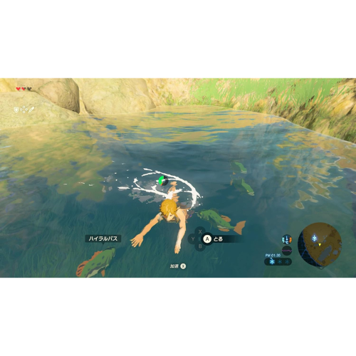 The Legend of Zelda Breath of the Wild Nintendo switch 2 Game Japan