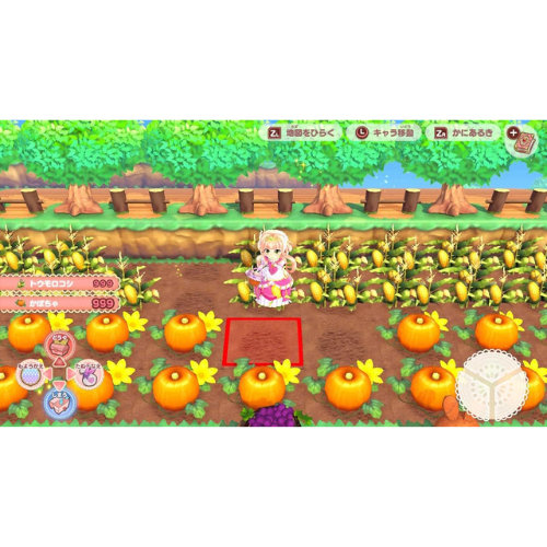 Pretty Princess Magical Garden Island Nintendo switch Game Japan