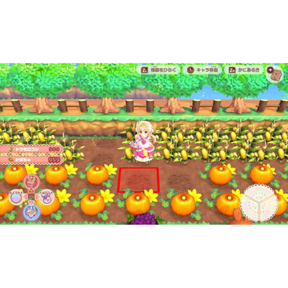 Pretty Princess Magical Garden Island Nintendo switch Game Japan
