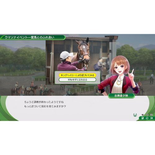 Winning Post 10 Nintendo switch Game Japan