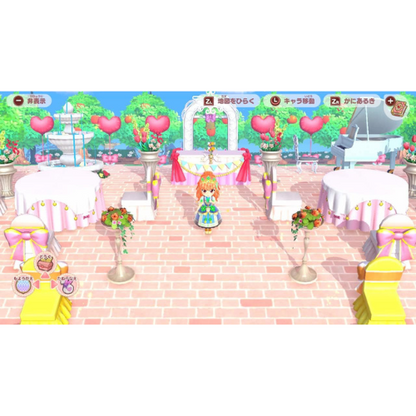 Pretty Princess Magical Garden Island Nintendo switch Game Japan
