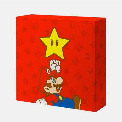 Nintendo Super Mario Glowing Canvas Art x Gift Box Super star Japan TOKYO/OSAKA/KYOTO NEW