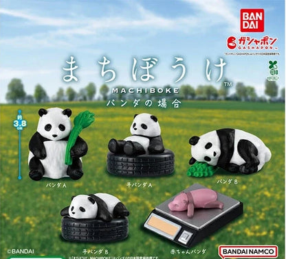 HY2239 Capsule toy Machiboke The Case of the Panda complete set