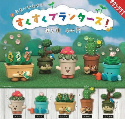 HY2205 Capsule toy Kaori Takahashi Thriving Planters! complete set