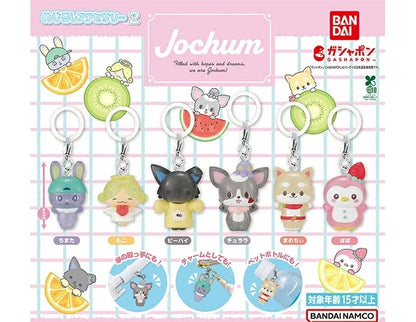 HY2299 Capsule toy JOCHUM Marker Accessories 2 complete set