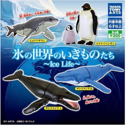 HY2151 Capsule toy Creatures of the Icy World Ice Life complete set
