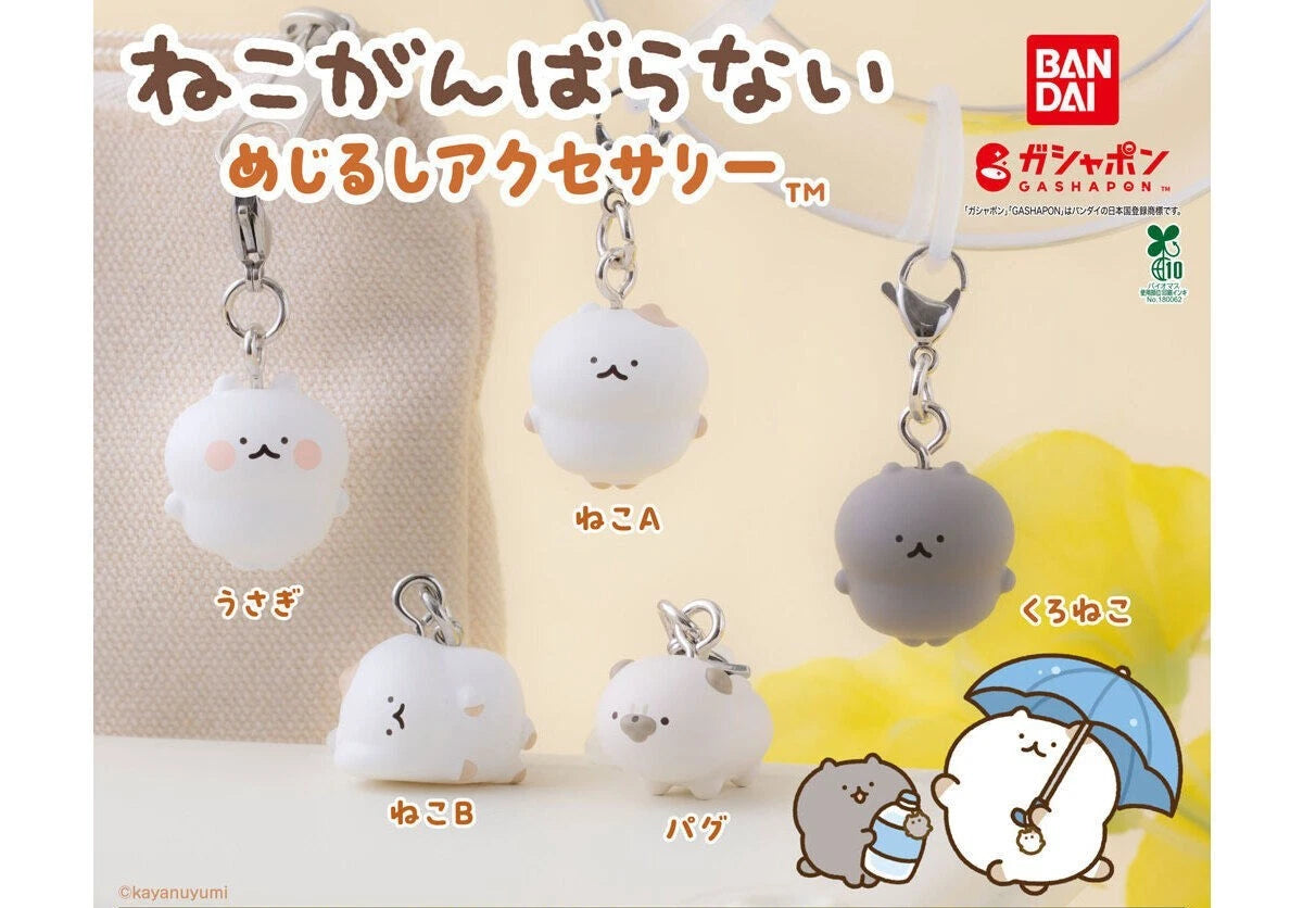 HY2374 Capsule toy “Cats Don't Try Too Hard” Bookmark Accessory complete set