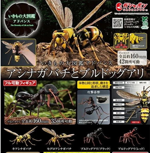 HY2278 Capsule toy Paper Wasps and Bulldog Ants complete set