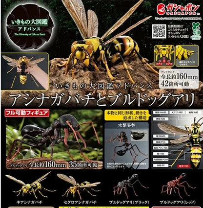 HY2278 Capsule toy Paper Wasps and Bulldog Ants complete set