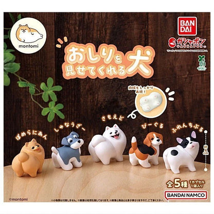 HY2467 Capsule toy Dogs that show their butts complete set