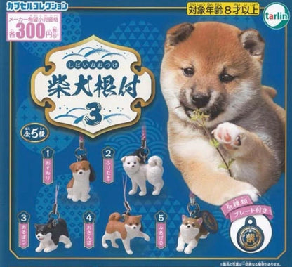 HY2033 Capsule toy Shiba Inu Netsuke 3 tarlin complete set