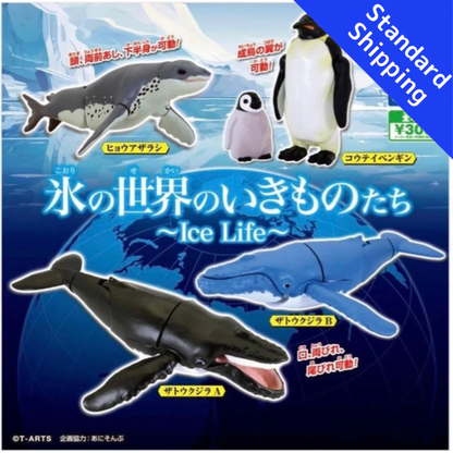 HY2151 Capsule toy Creatures of the Icy World Ice Life complete set