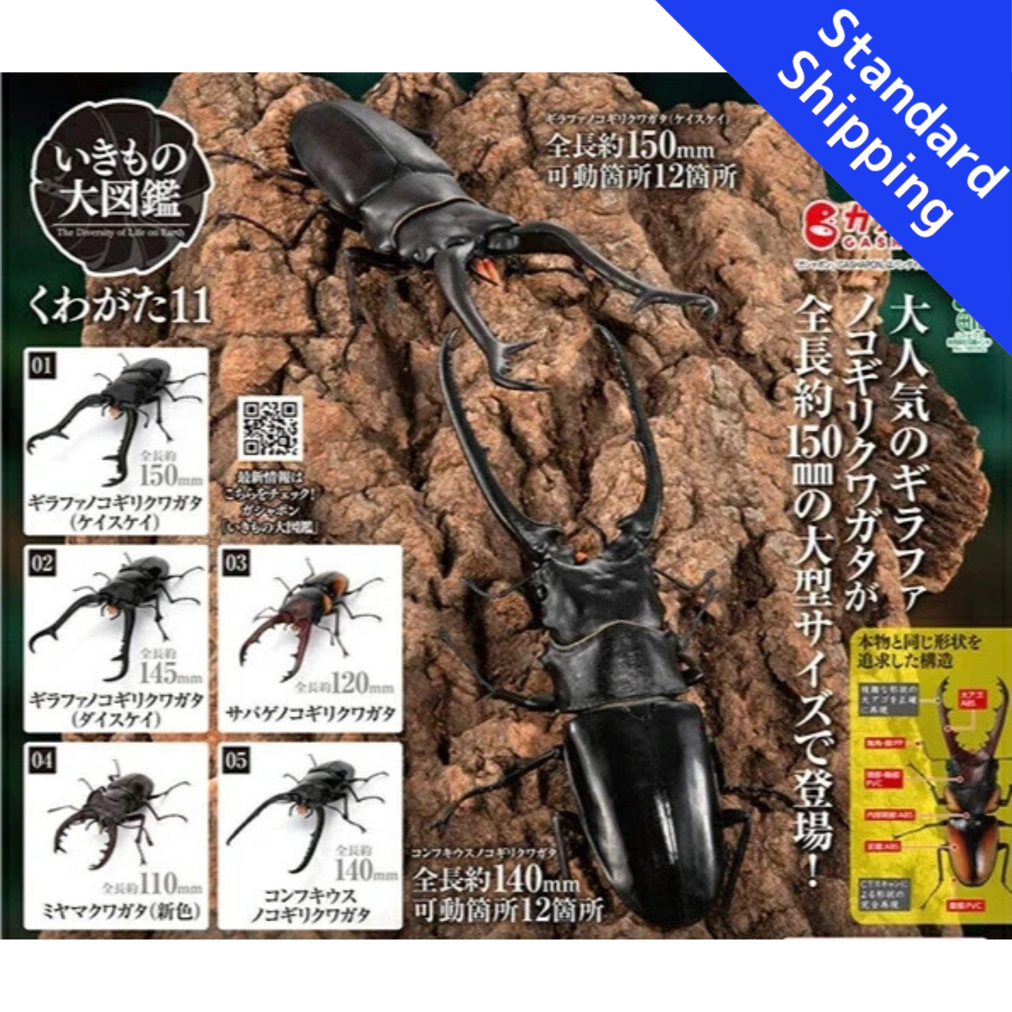 HY2237 Capsule toy Great Encyclopedia of Living Things Stag Beetles 11 complete