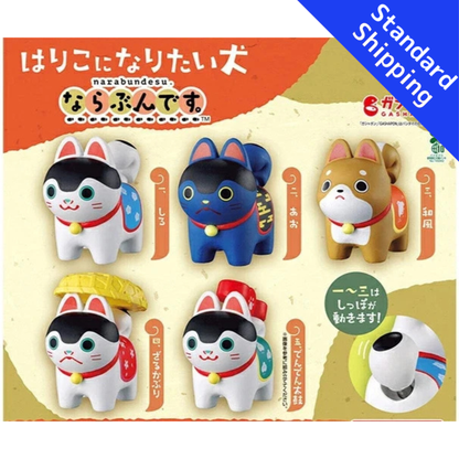 HY2243 Capsule toy the dog who wants to be a paper mache Narabundesu. complete