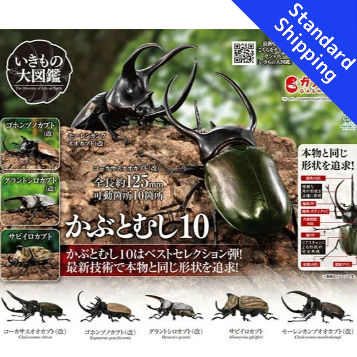 HY2092 Capsule toy The Great Encyclopedia of Animals 10 Beetles complete set