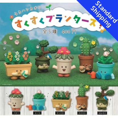 HY2205 Capsule toy Kaori Takahashi Thriving Planters! complete set