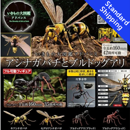 HY2278 Capsule toy Paper Wasps and Bulldog Ants complete set
