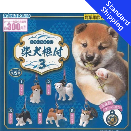 HY2033 Capsule toy Shiba Inu Netsuke 3 tarlin complete set