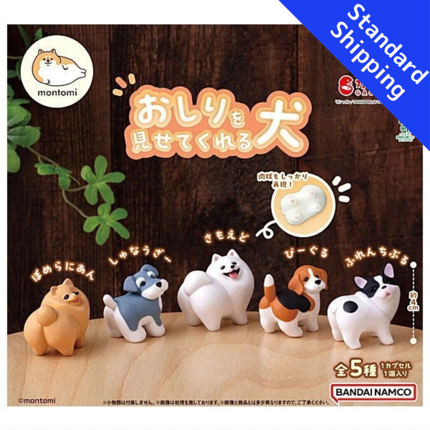 HY2467 Capsule toy Dogs that show their butts complete set