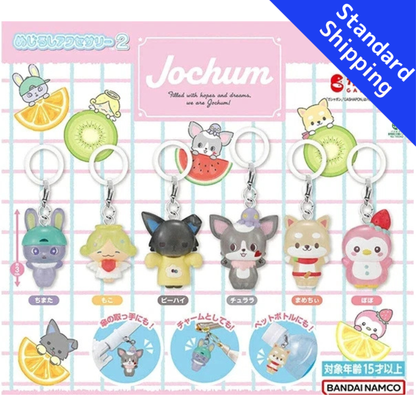 HY2299 Capsule toy JOCHUM Marker Accessories 2 complete set