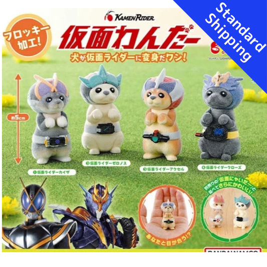HY2096 Capsule toy Kamen Wonder complete set