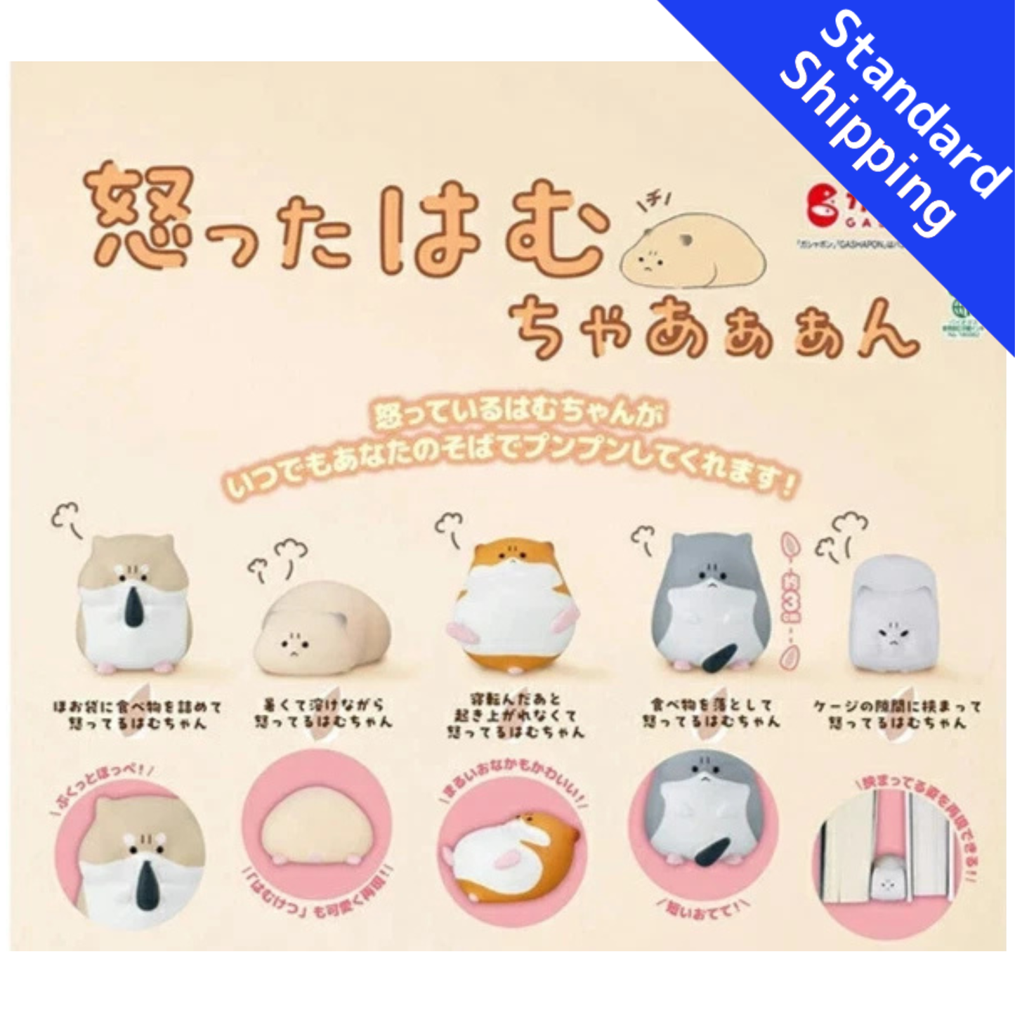 HY2101 Capsule toy Angry Hamuchaaaan complete set
